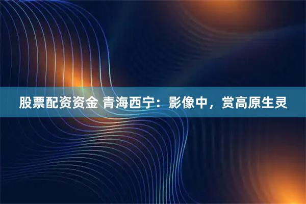股票配资资金 青海西宁：影像中，赏高原生灵