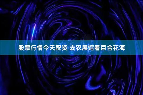 股票行情今天配资 去农展馆看百合花海