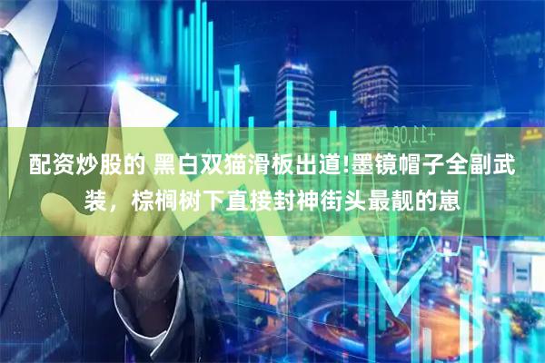 配资炒股的 黑白双猫滑板出道!墨镜帽子全副武装，棕榈树下直接封神街头最靓的崽