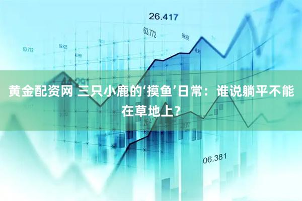 黄金配资网 三只小鹿的‘摸鱼’日常：谁说躺平不能在草地上？